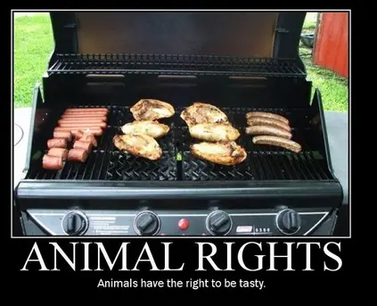 Funny Picture - Animal Rights