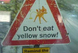 Funny Picture - Yellow Snow Warning