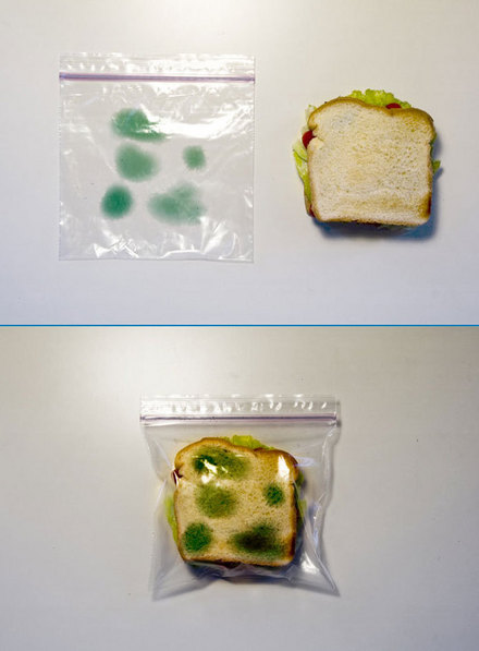 Funny Picture - Office Sandwich Bags