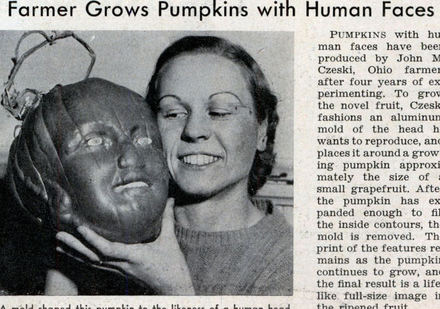 Funny Picture - Human Pumpkins
