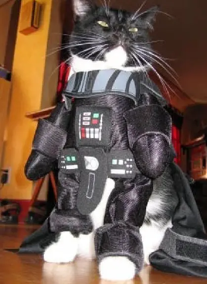 Funny Picture - Cat Vader