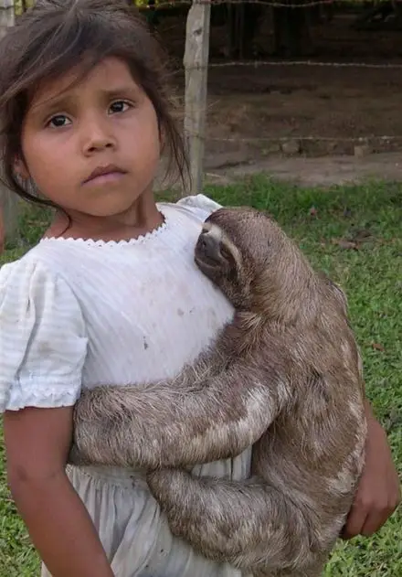 Funny Picture - Sloth Girl