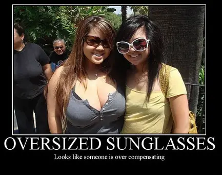 Funny Picture - Oversized Sunglasses