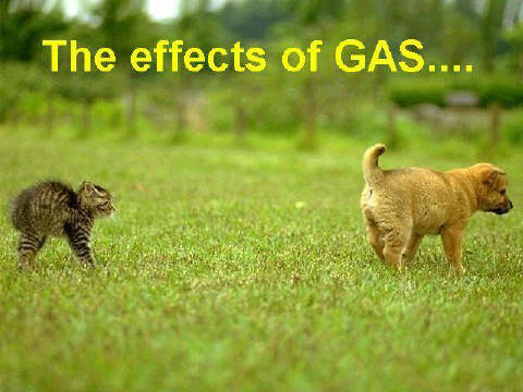 Funny Picture - The Effects of Gas