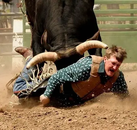 Funny Picture - Cowboys Are Crazy