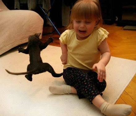 Funny Picture - Kitten Vs. Toddler