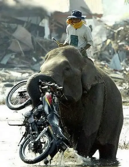 Funny Picture - Who Needs a Motorcycle?