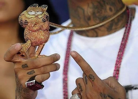 Funny Picture - Garfield Bling
