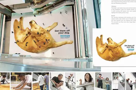 Funny Picture - Cool Dog Flea Removal Ad