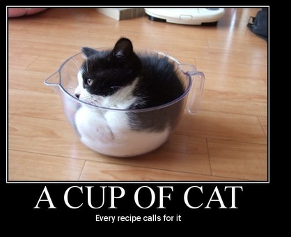 Funny Picture - A Cup Of Cat
