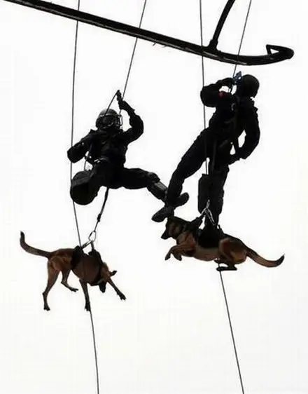 Funny Picture - Repelling Dogs