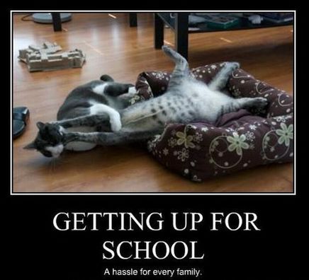 Funny Picture - Getting Up For School...