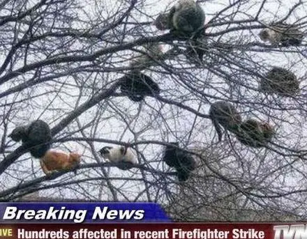 Funny Picture - Firefighter Strike