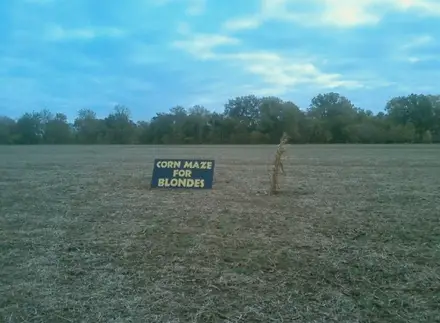 Funny Picture - Corn Maze For Blondes