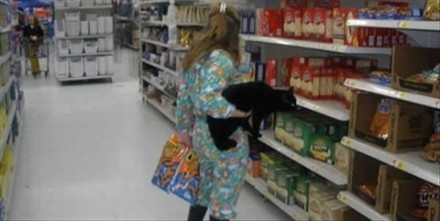 Funny Picture - A True Cat Lady
