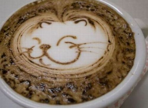 Funny Picture - Kitty Latte