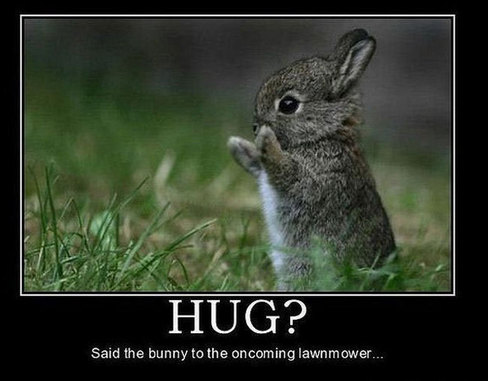 Funny Picture - Hug?