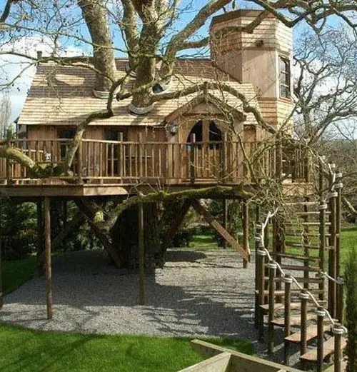 Funny Picture - Awesome Tree House