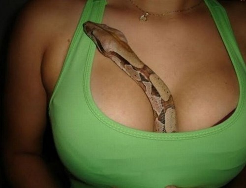 Funny Picture - Should Be My Snake