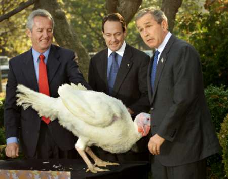Funny Picture - Bush Pardons Thanksgiving Turkey
