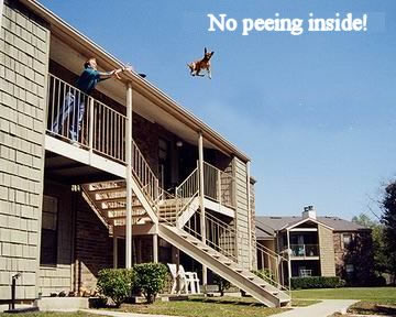 Funny Picture - No Peeing Inside!